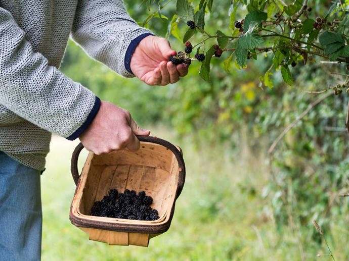 Umbraco.Cms.Infrastructure.PublishedCache.Property