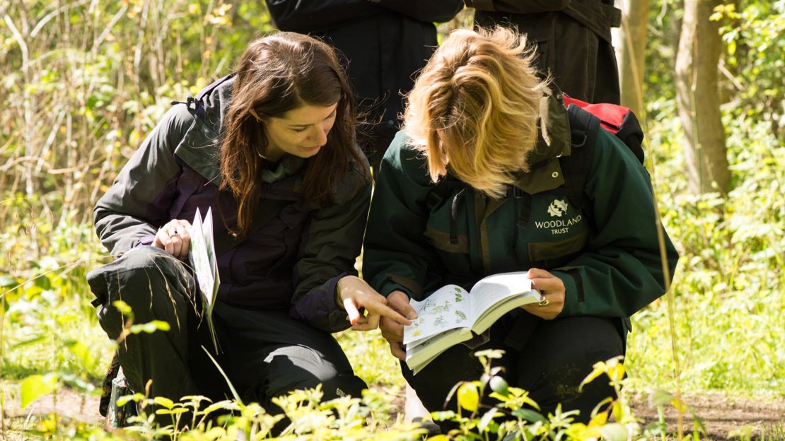 Woodland trust staff looking at ID book on a training day
