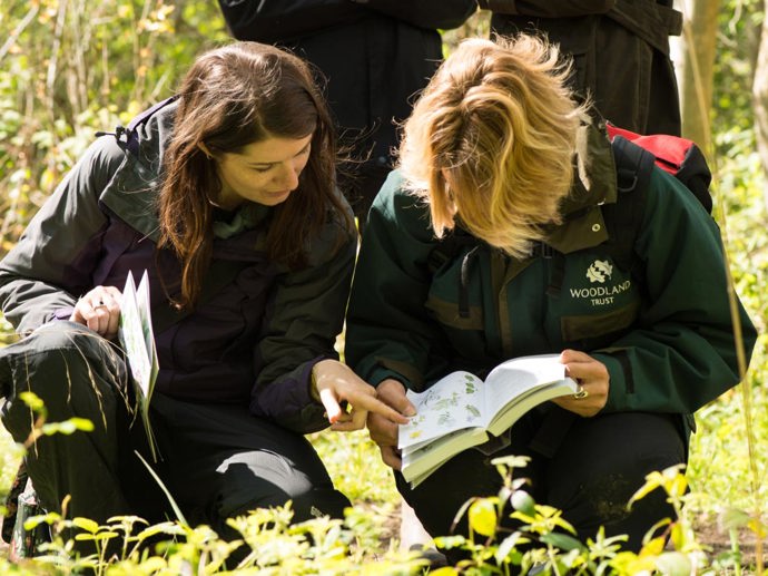 Umbraco.Cms.Infrastructure.PublishedCache.Property