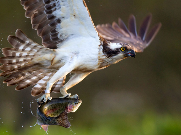 Umbraco.Cms.Infrastructure.PublishedCache.Property