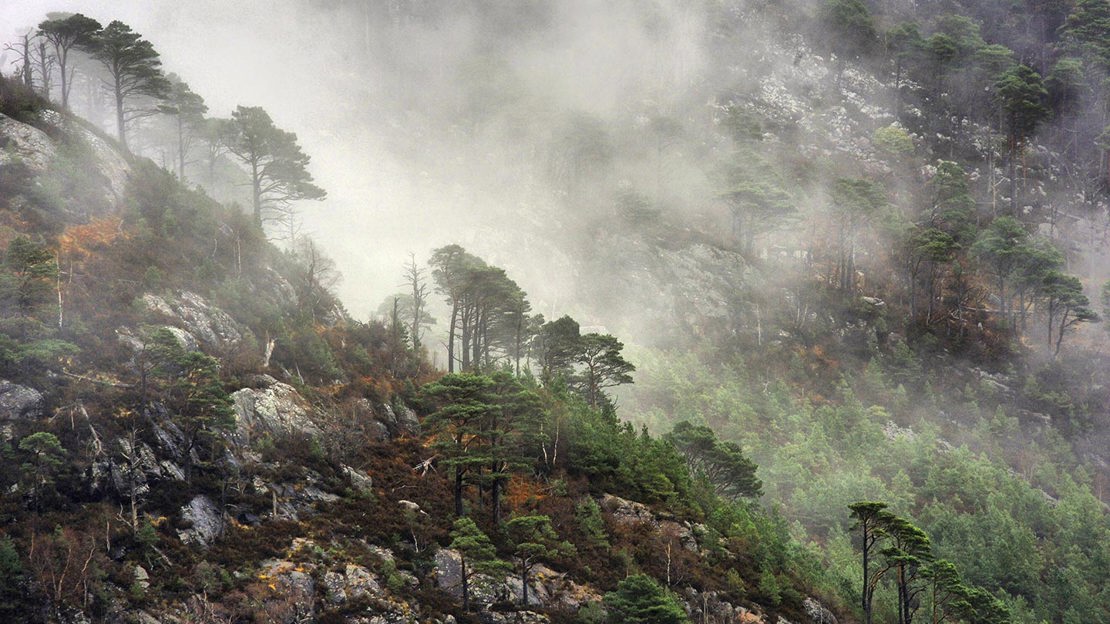 Misty hillside at Ben Shieldaig