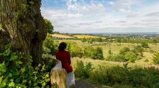Woman on a bench overlooking Tring Park