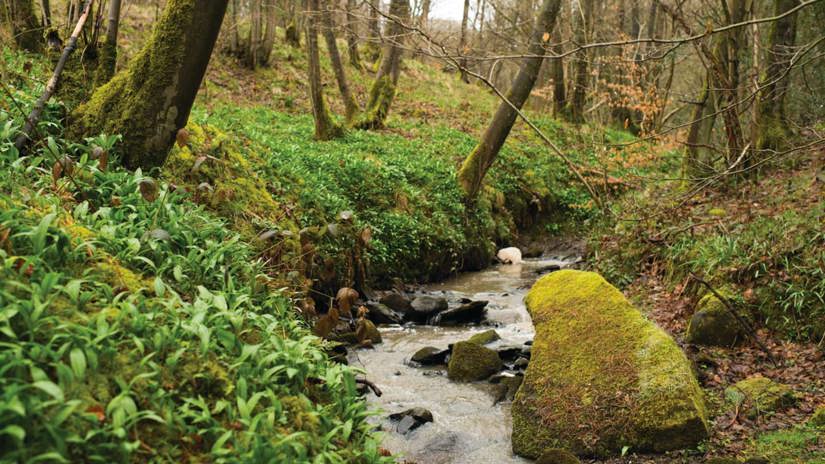 Umbraco.Cms.Infrastructure.PublishedCache.Property