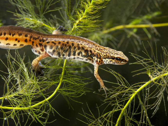 Umbraco.Cms.Infrastructure.PublishedCache.Property