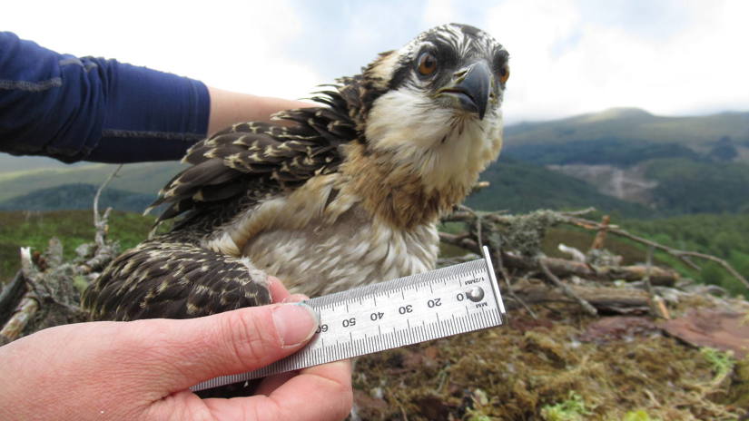 Umbraco.Cms.Infrastructure.PublishedCache.Property