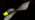 Glow-worm female on a leaf showing glowing body against a dark background