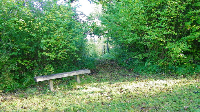 Bench seat in Stoke Wood