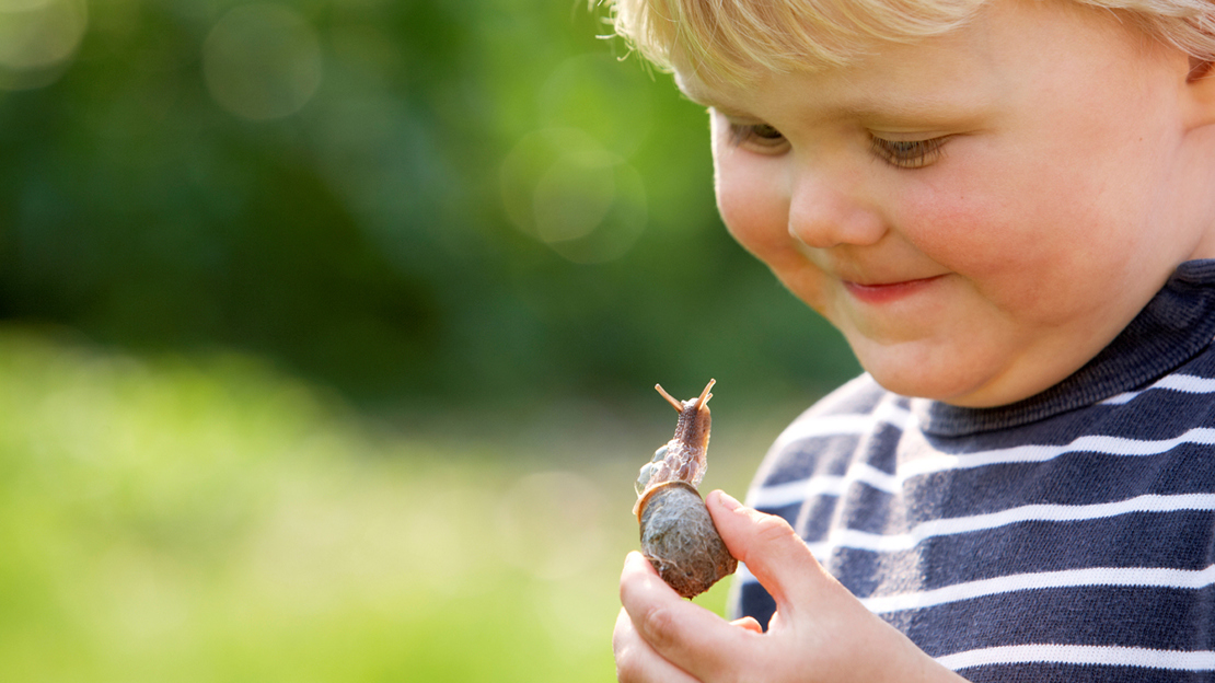 Boy looking at snail Boy looking at snail