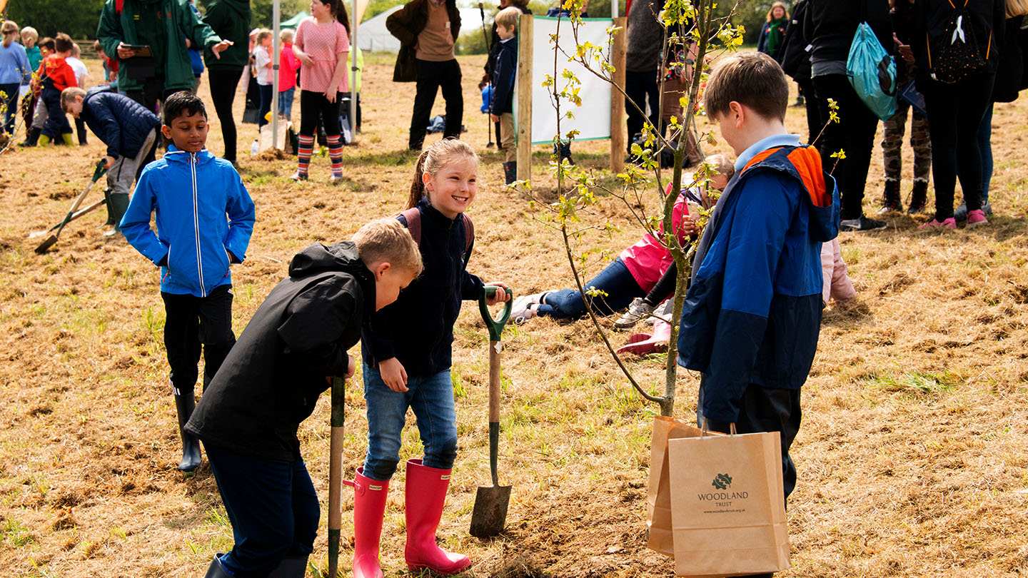 Young People's Forest at Mead - Woodland Trust