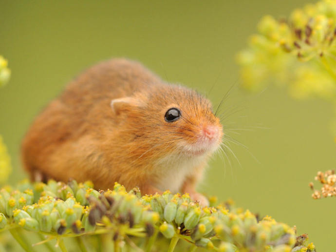 Umbraco.Cms.Infrastructure.PublishedCache.Property