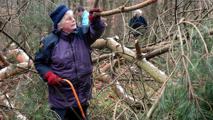 Volunteers working in a wood