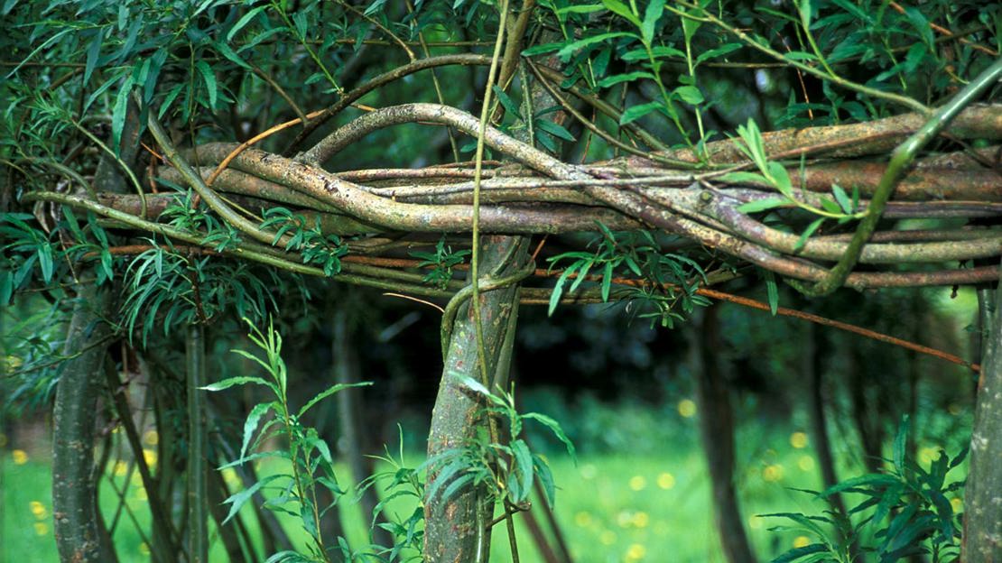 Woven willow