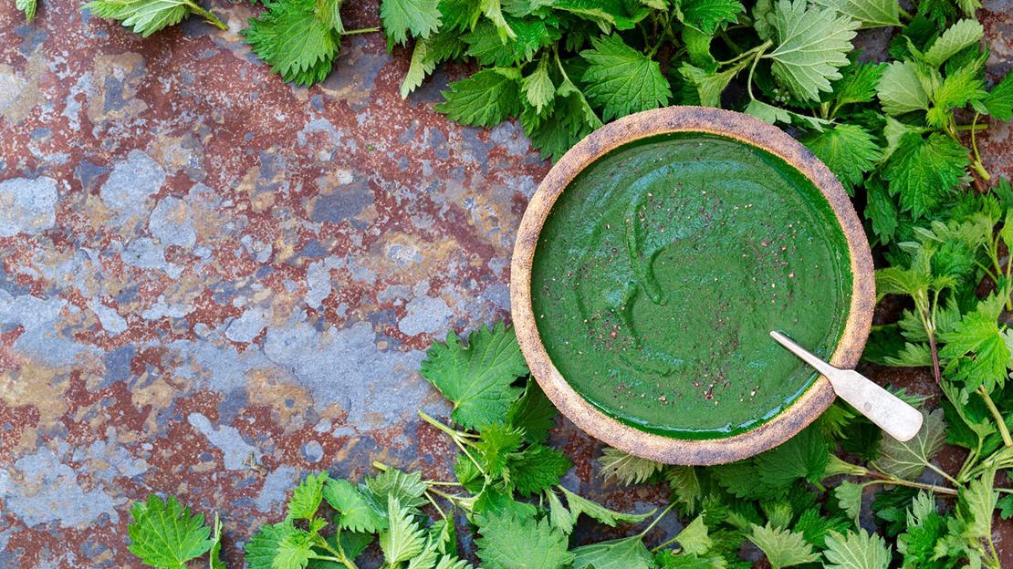 Nettle soup