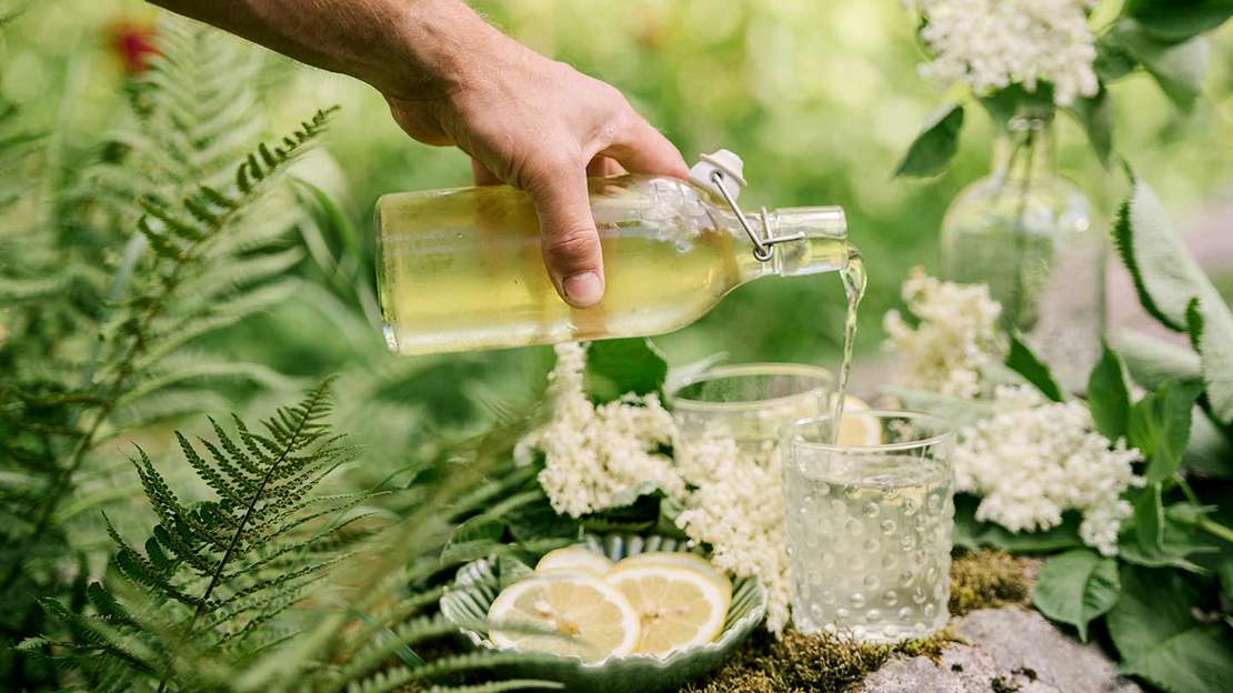 Elderflower Cordial Being Poured