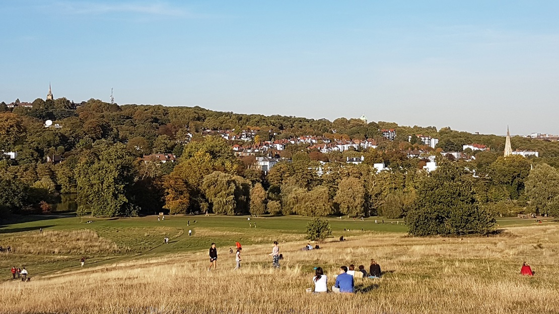 Several small groups of people enjoying a large open green space with trees and houses in the background
