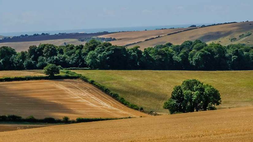 Umbraco.Cms.Infrastructure.PublishedCache.Property