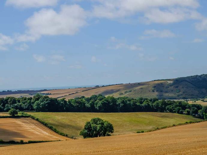 Umbraco.Cms.Infrastructure.PublishedCache.Property