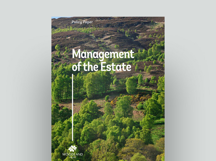 Umbraco.Cms.Infrastructure.PublishedCache.Property