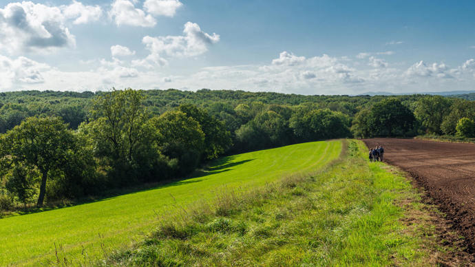 View to Pepper Wood from land to be bought in the appeal