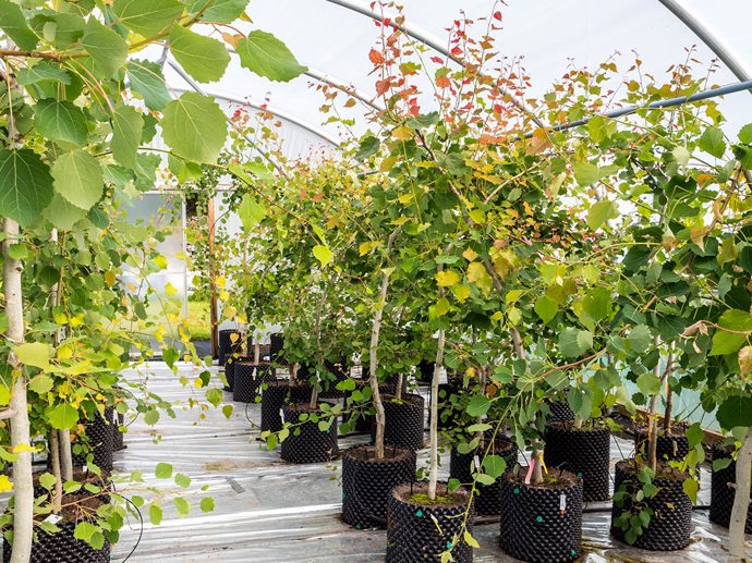 Umbraco.Cms.Infrastructure.PublishedCache.Property