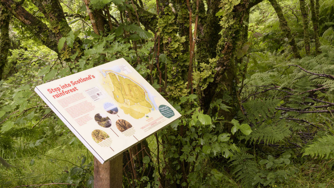 Orientation board at Crinan Wood