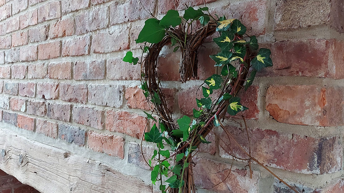 Ivy heart wreath