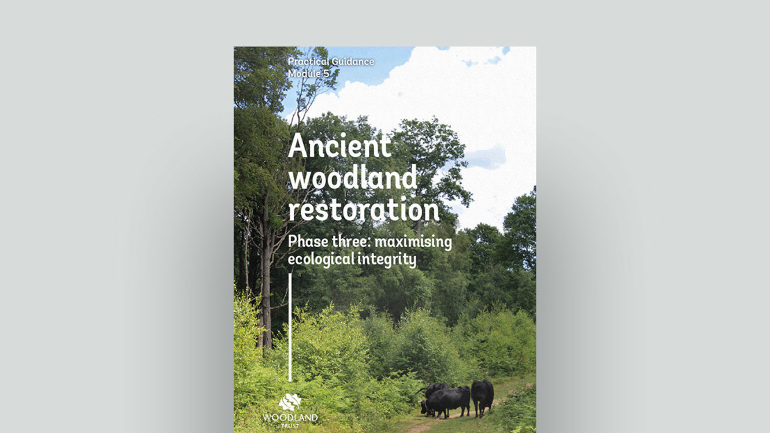 Ancient Woodland Restoration Phase Three: maximising ecological integrity Ancient Woodland Restoration Phase Three: maximising ecological integrity