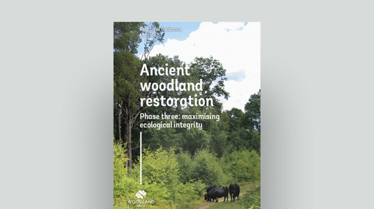 Ancient Woodland Restoration Phase Three: maximising ecological integrity