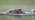 Beaver at the surface of water