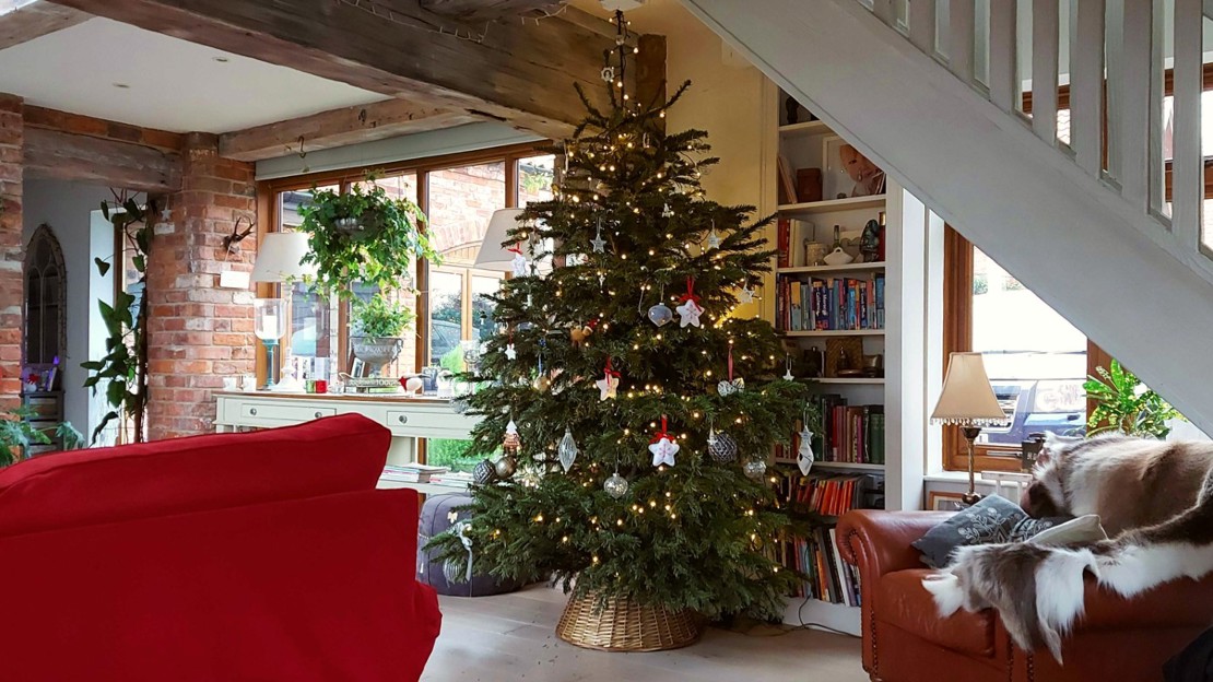 A real Christmas tree decorated indoors
