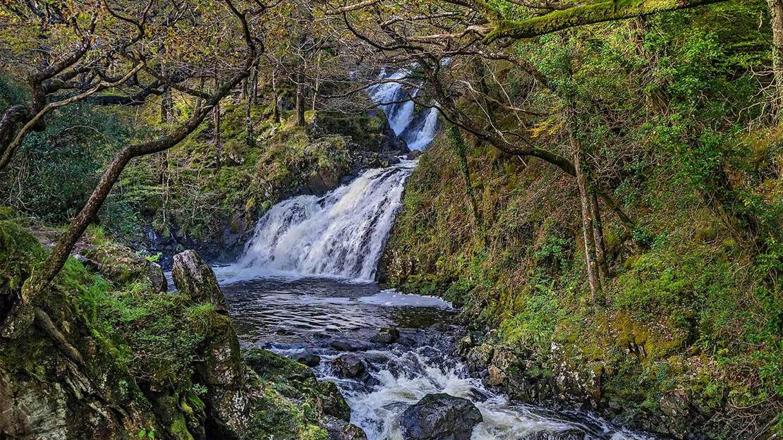 A low wide waterfall sweeping through woodland