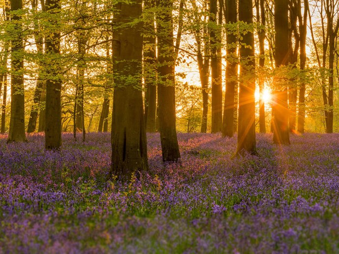 Umbraco.Cms.Infrastructure.PublishedCache.Property