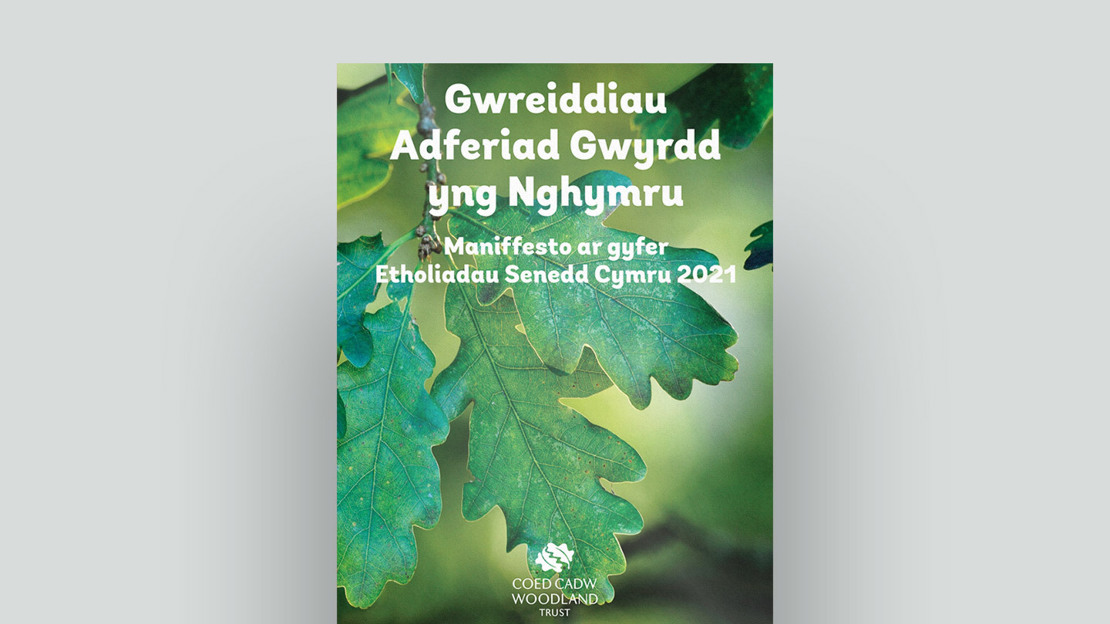 Coed Cadw Maniffesto Cover Coed Cadw Maniffesto Cover