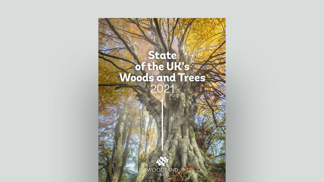State of the UK's Woods and Trees document cover. State of the UK's Woods and Trees document cover.