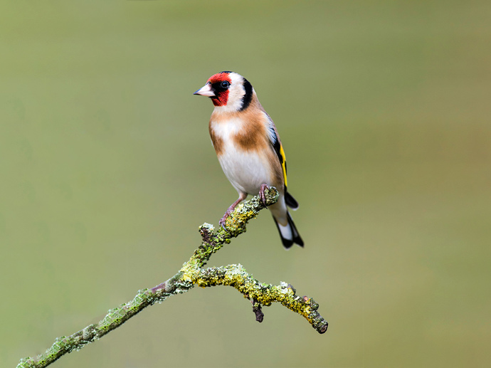 Umbraco.Cms.Infrastructure.PublishedCache.Property