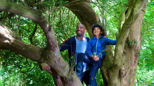 Dad and son climbing a tree in Big Wood, Runcorn