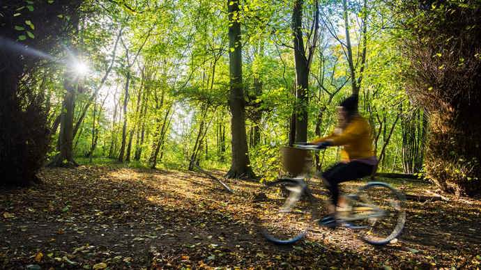 Blurred cyclist rides through autumnal woodland