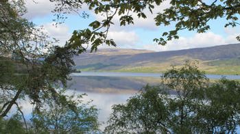 View of Loch Arkaig through trees View of Loch Arkaig through trees