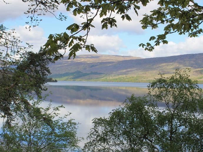 Umbraco.Cms.Infrastructure.PublishedCache.Property