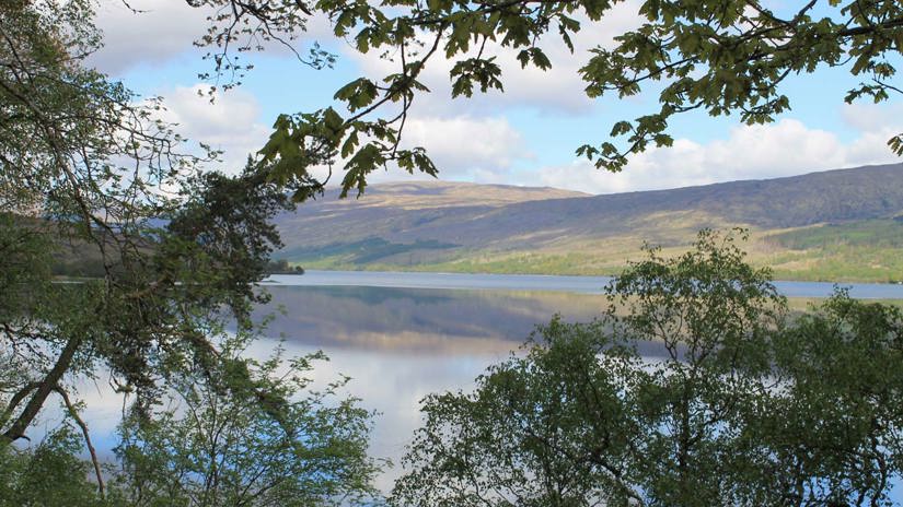 Umbraco.Cms.Infrastructure.PublishedCache.Property