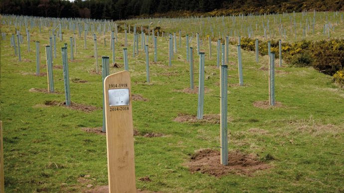 Marker for the Dreghorn commemorative grove with saplings in the background