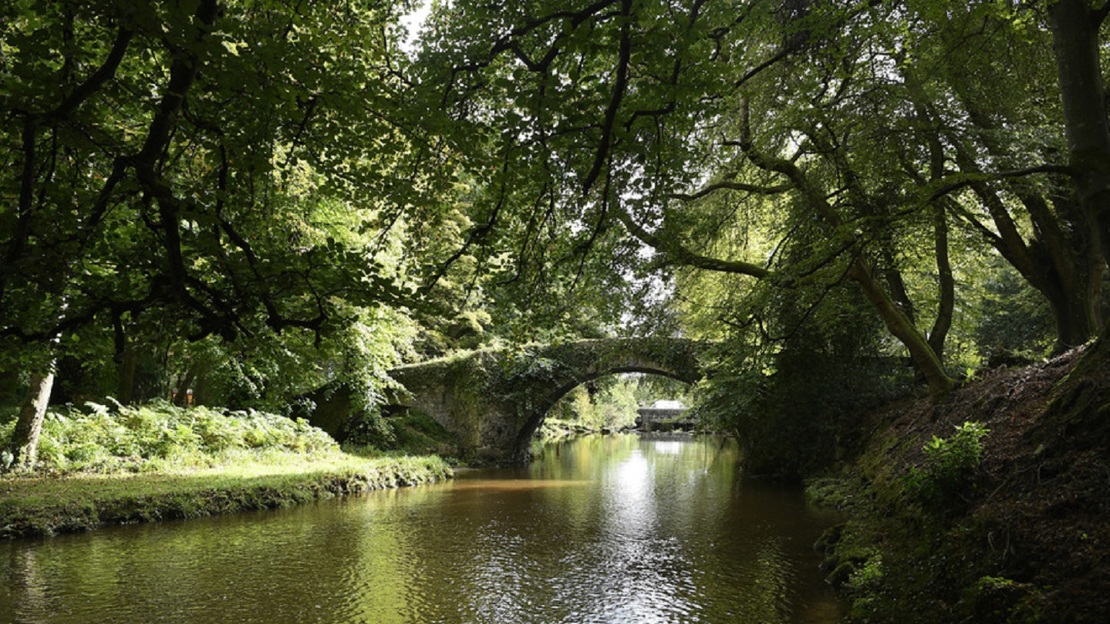 An old stone bridge over a river with tree branches meeting overhead