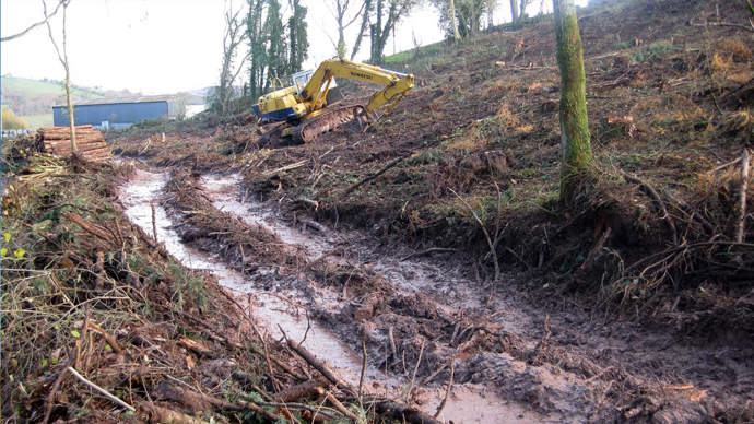 Machinery used for felling has created wet, muddy tracks