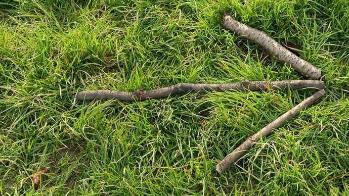 Arrow made from twigs