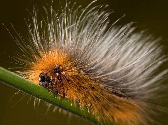 Umbraco.Cms.Infrastructure.PublishedCache.Property