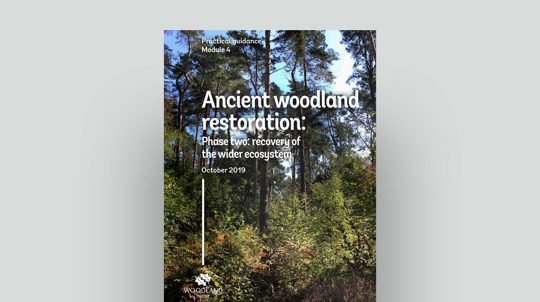 Ancient woodland restoration module 4 phase 2 document cover