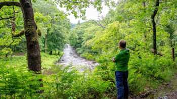 Outlook over River Dart at Ausewell Wood