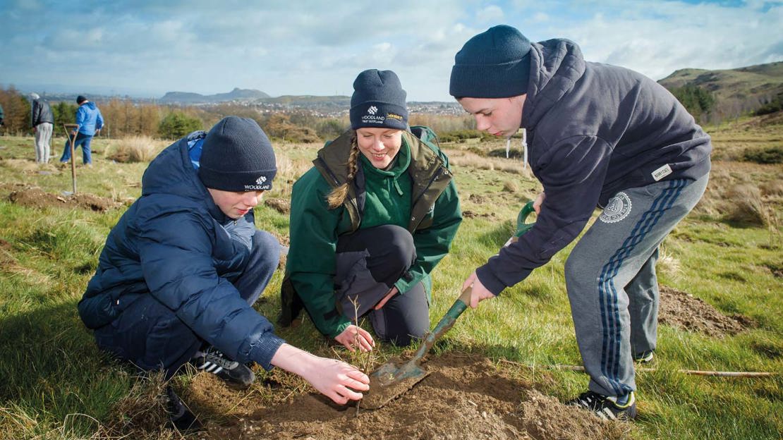 Three people planting a sapling in Scottish landscape