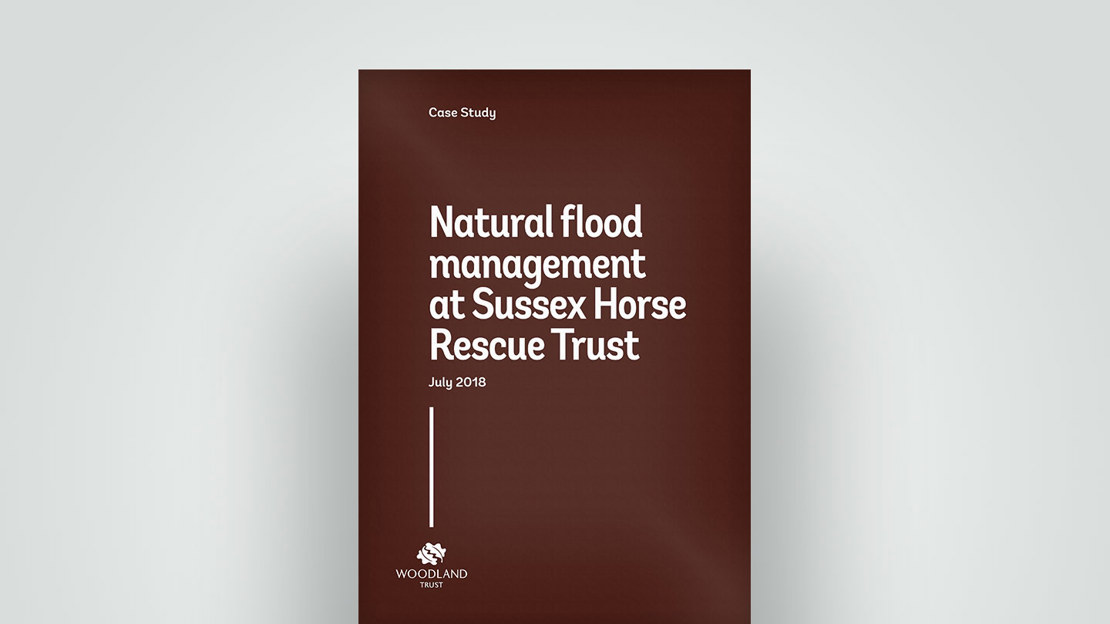 Flood management at Sussex Horse Rescue case study, 2018 Flood management at Sussex Horse Rescue case study, 2018