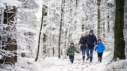Man, woman and two boys in winter clothing walking in snowy woods